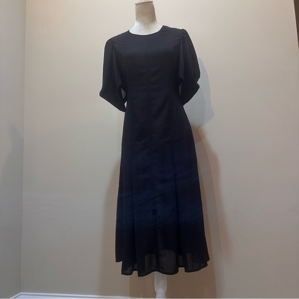 Anthropologie Modern Sheer Midi Dress - Picture 11 of 15